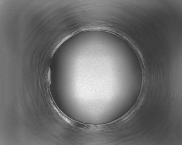 X0000078281385200611031005