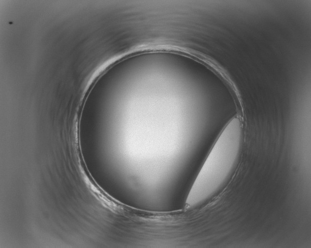 X0000078281388200611031005