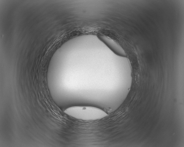 X0000078281393200611031004