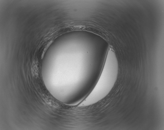 X0000078281394200611031004
