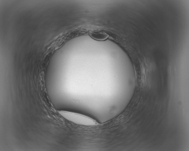 X0000078281397200611031004