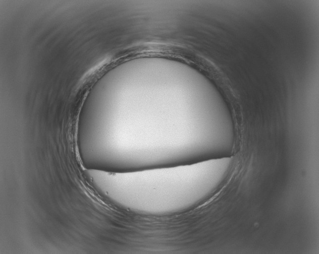 X0000078281403200611031004