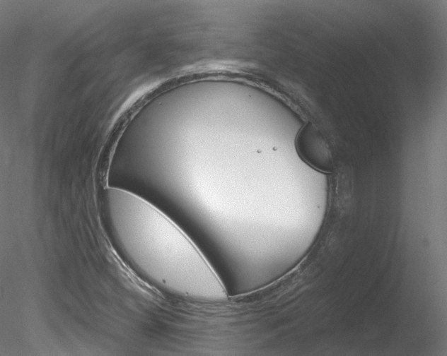X0000078281404200611031004