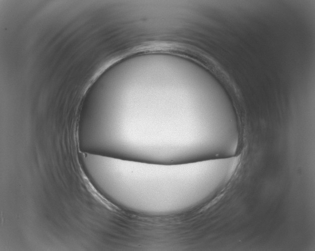 X0000078281417200611031005