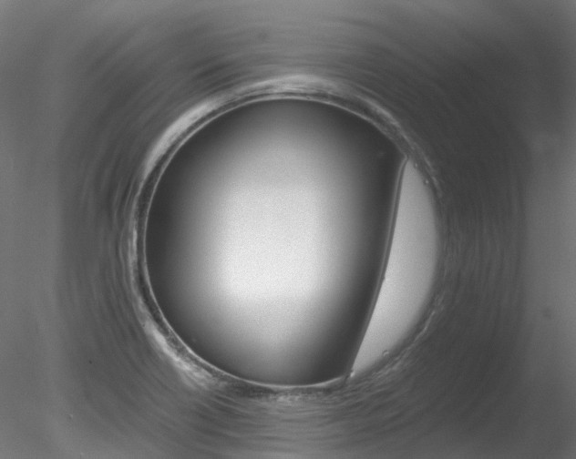 X0000078281418200611031005