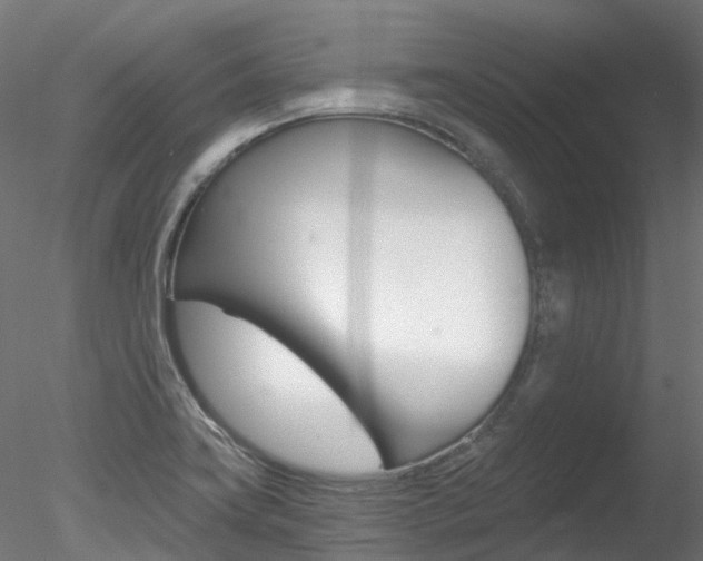X0000078281419200611031005