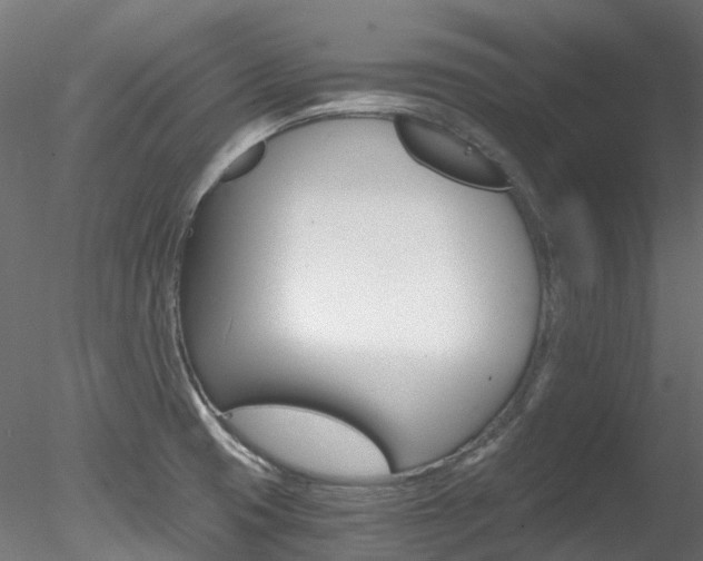 X0000078281425200611031005