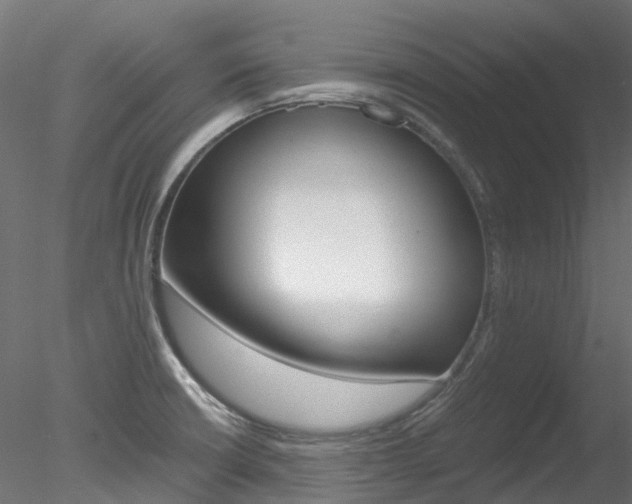 X0000078281426200611031005