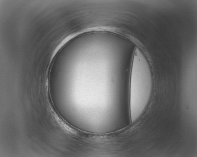 X0000078281428200611031005
