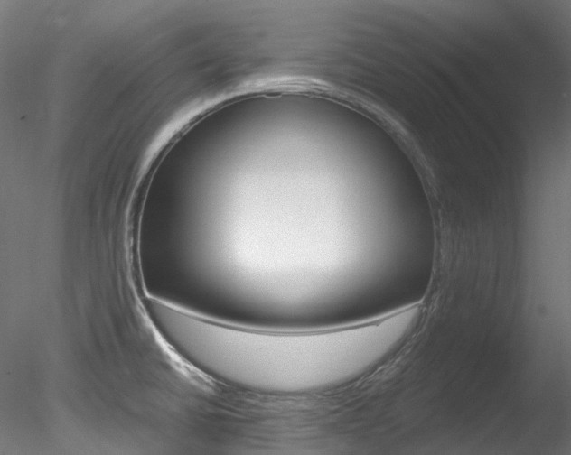 X0000078281430200611031005