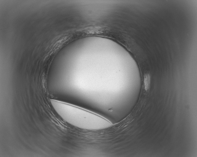X0000078281444200611031004