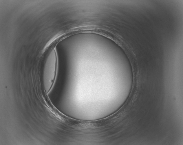 X0000078281450200611031004