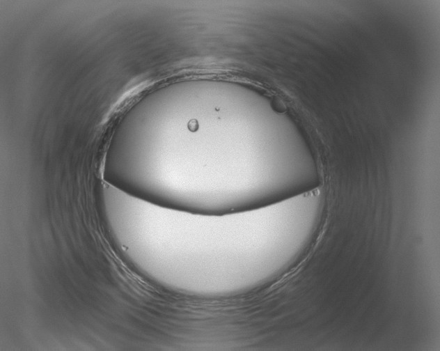 X0000078281451200611031004