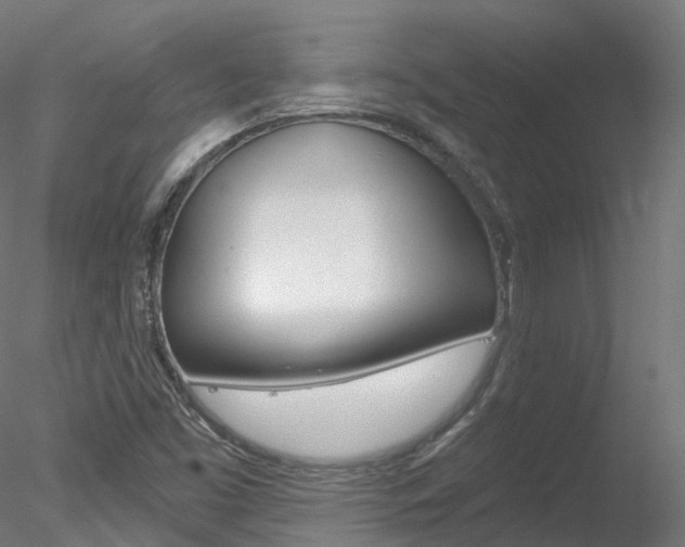 X0000078281453200611031004