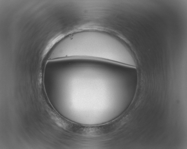 X0000078281461200611031004