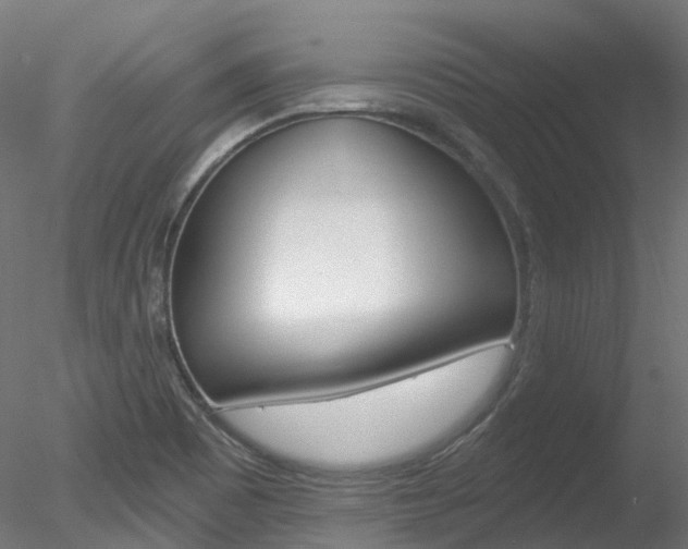 X0000078281465200611031004
