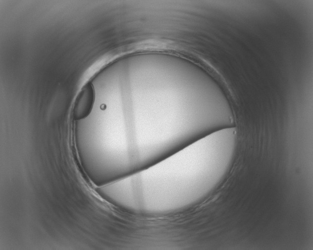 X0000078281467200611031004