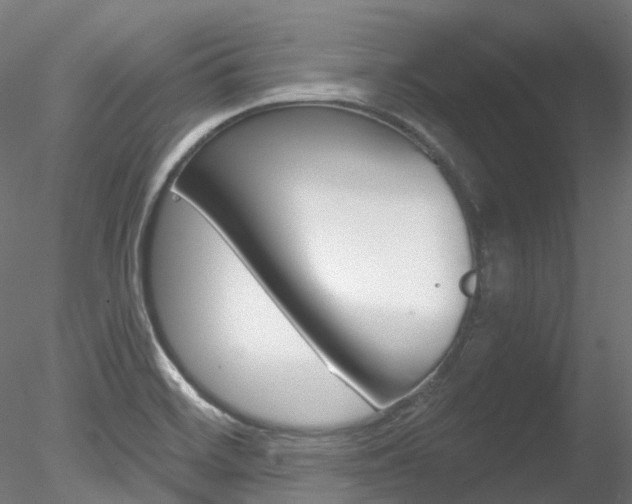 X0000078281468200611031004