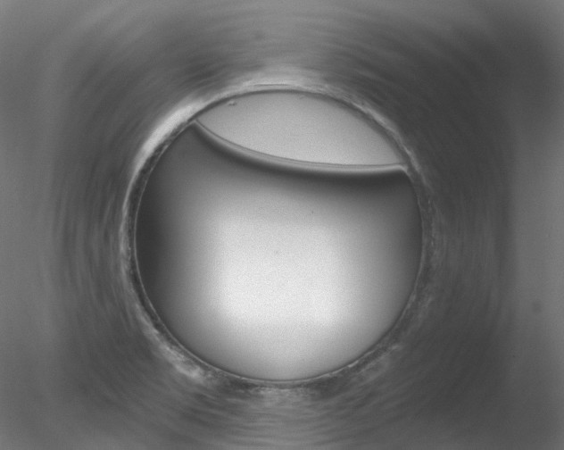 X0000078281469200611031004