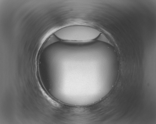 X0000078281479200611031004
