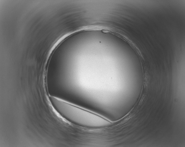 X0000078281484200611031003
