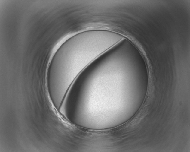 X0000078281488200611031003