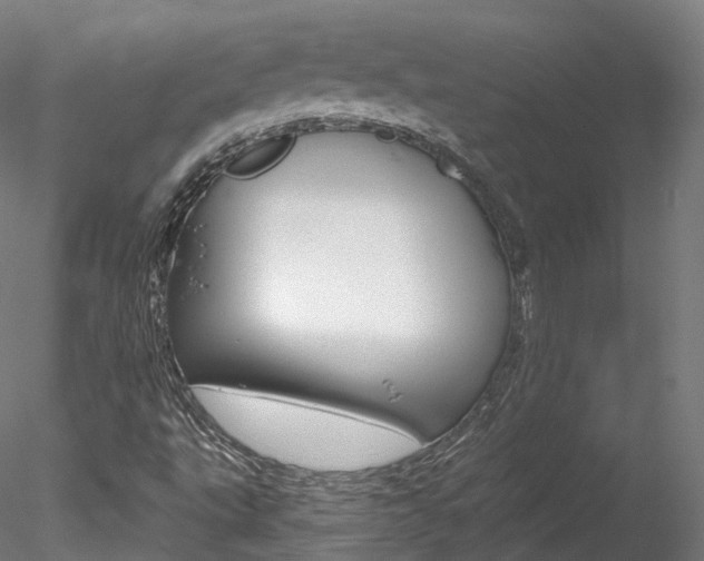 X0000078281495200611031003