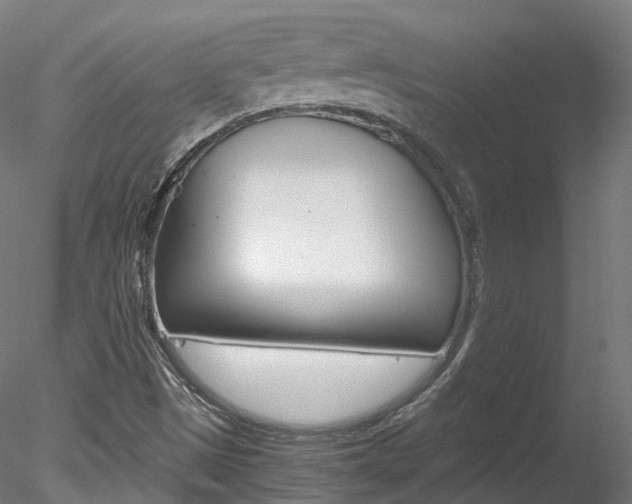 X0000078281497200611031003