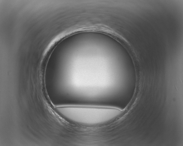 X0000078281506200611031003