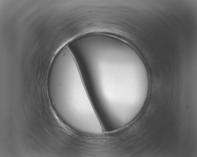 X0000078281513200611031003