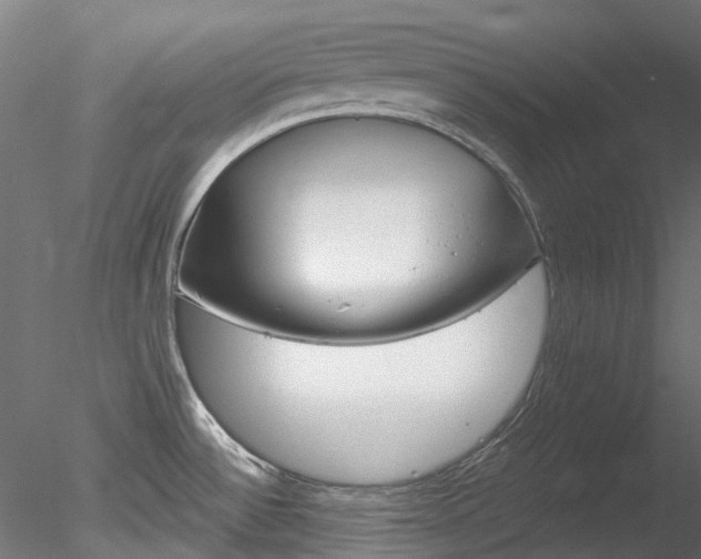 X0000078281532200611031003