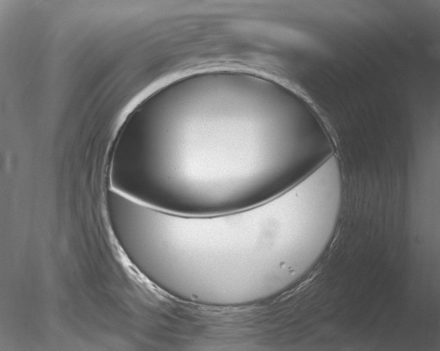 X0000078281534200611031003
