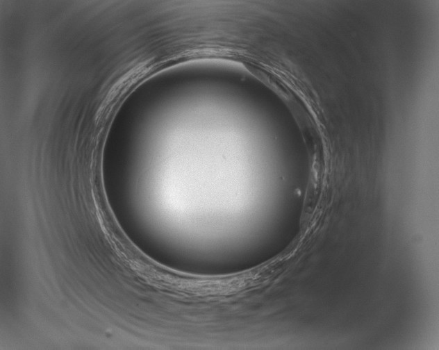 X0000078280001200611031220