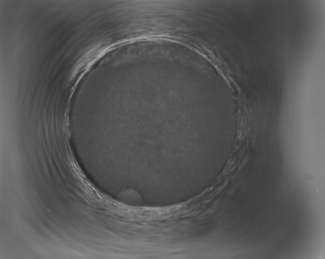 X0000078280002200611031220