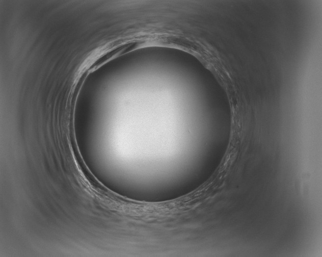 X0000078280003200611031220