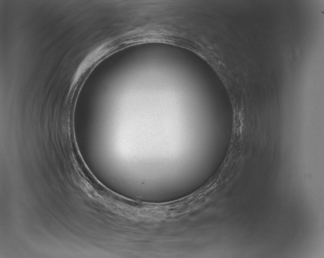 X0000078280004200611031220