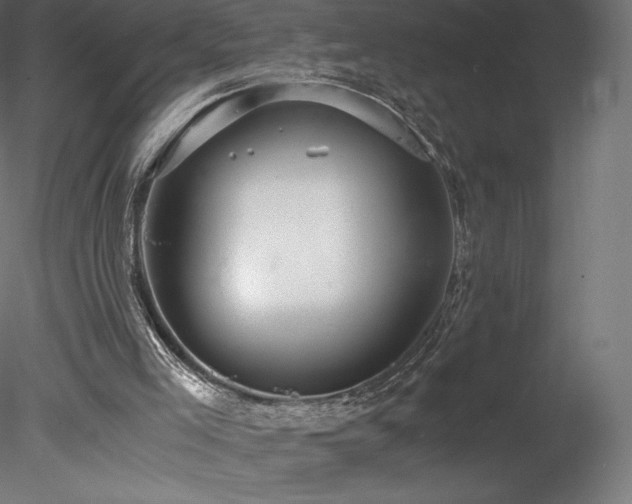 X0000078280005200611031220