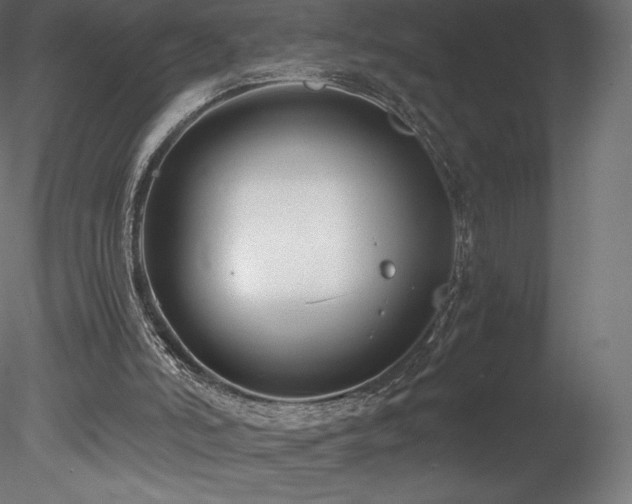 X0000078280006200611031220