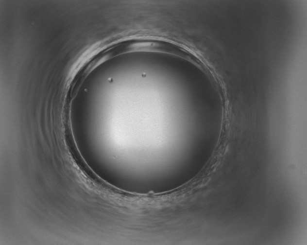 X0000078280007200611031220