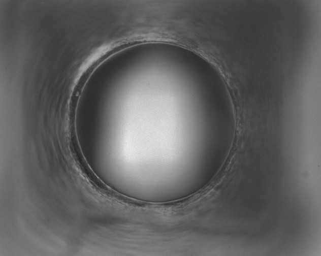 X0000078280008200611031220