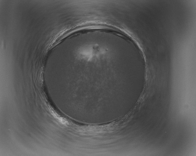 X0000078280009200611031220