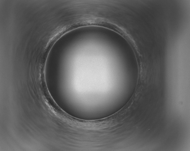 X0000078280010200611031220