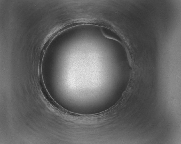 X0000078280011200611031220