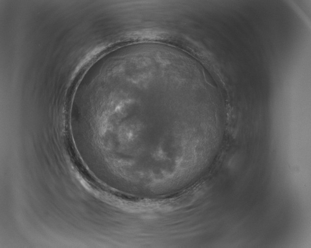 X0000078280012200611031220