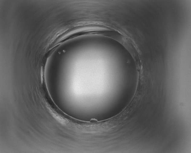 X0000078280013200611031220