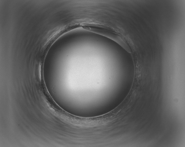 X0000078280014200611031220