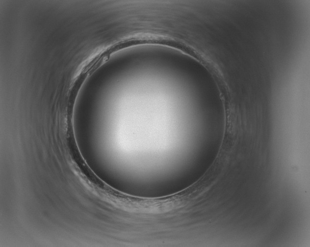 X0000078280015200611031220