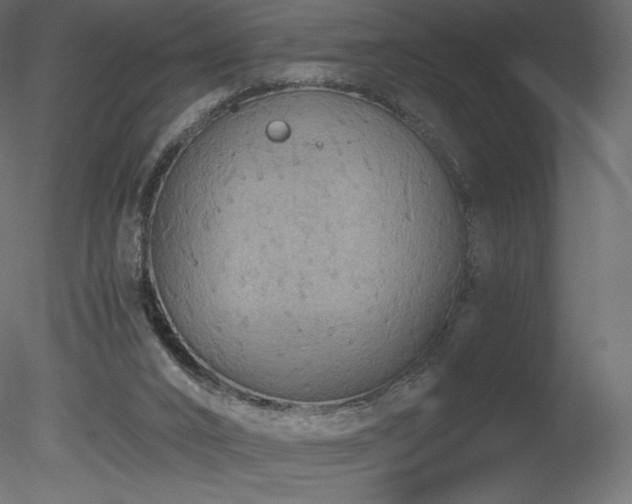 X0000078280016200611031220