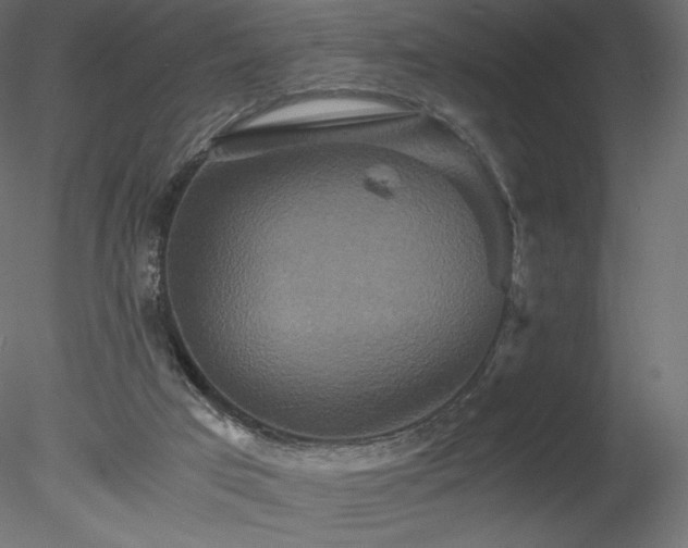 X0000078280017200611031220