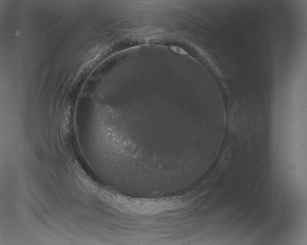 X0000078280018200611031220